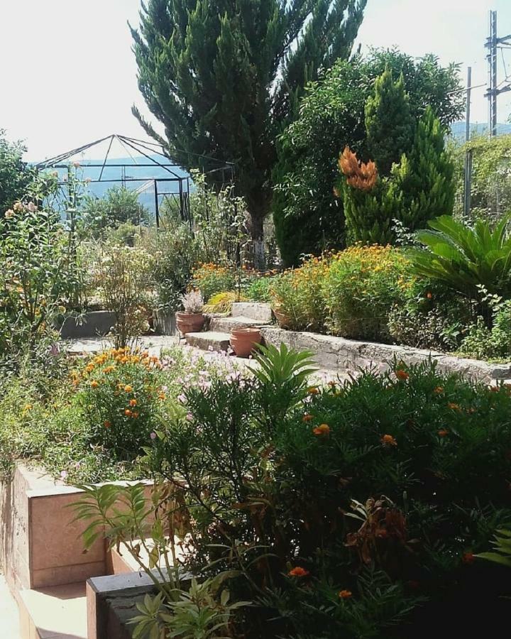 Plaza Studios Leptokaryá Luaran gambar